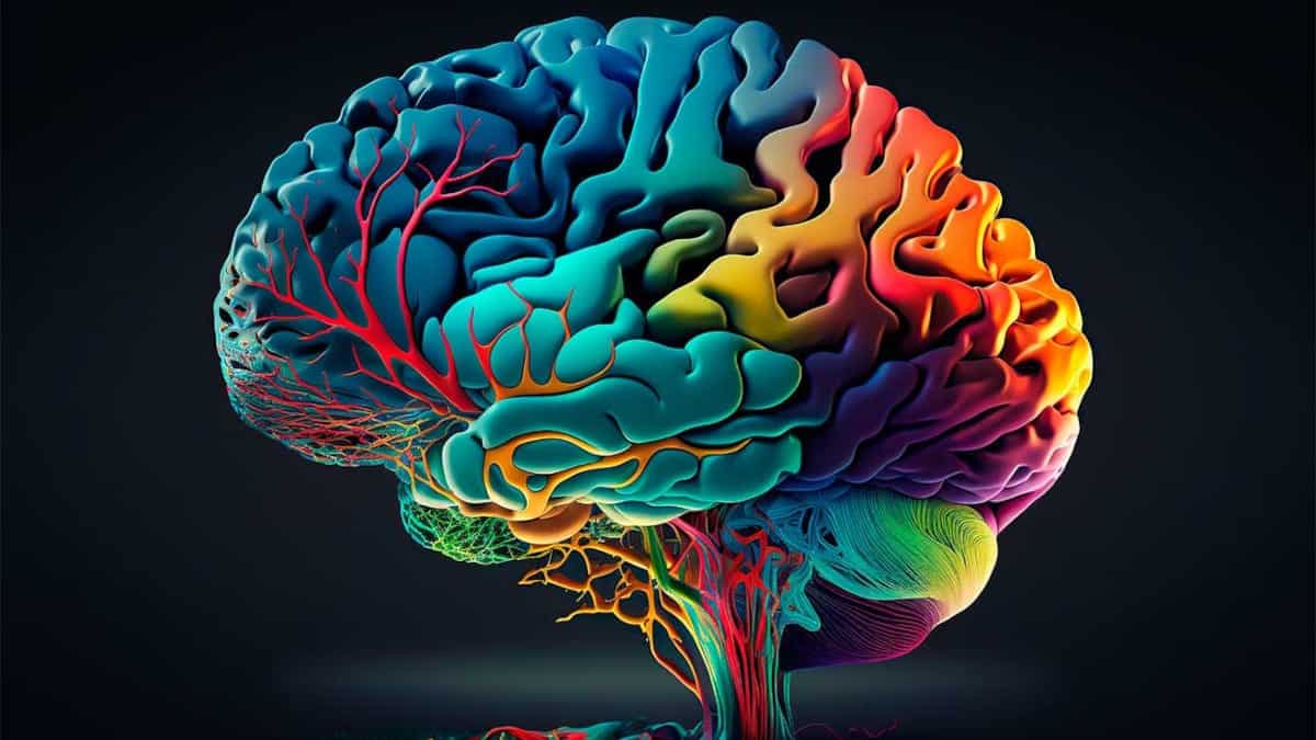 Los probióticos pueden mejorar la función cognitiva