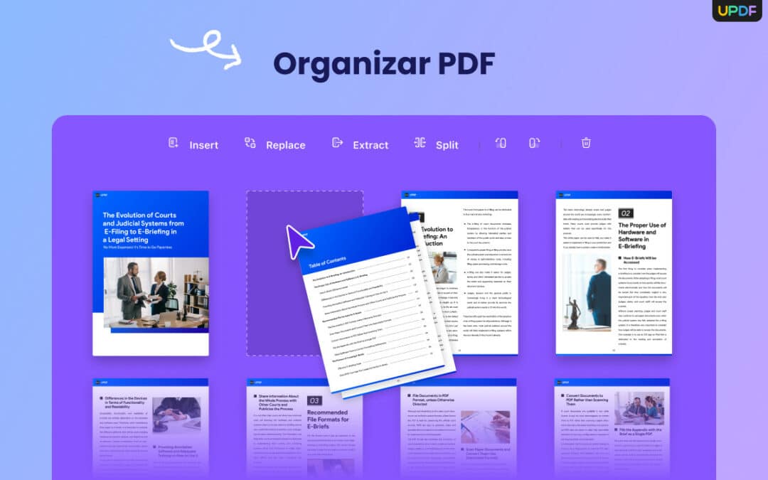 Organizar PDF