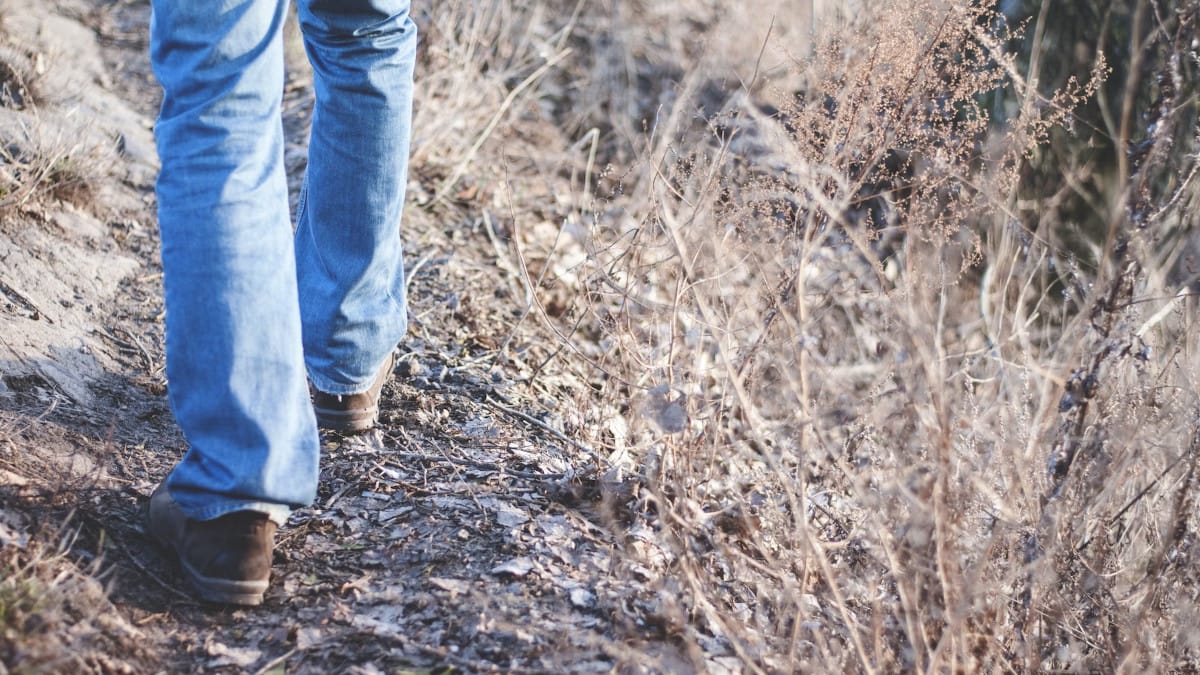 Caminar para Bajar de Peso, aplicación para Android