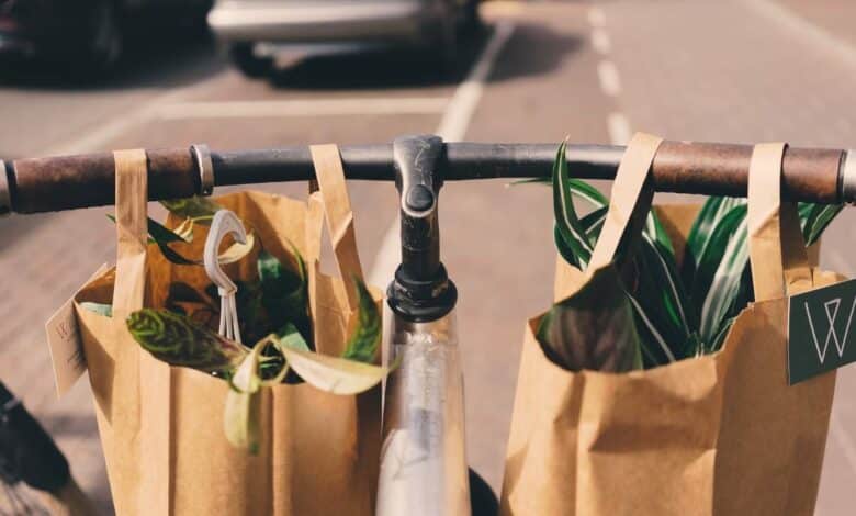 La importancia de las bolsas de papel en determinadas industrias