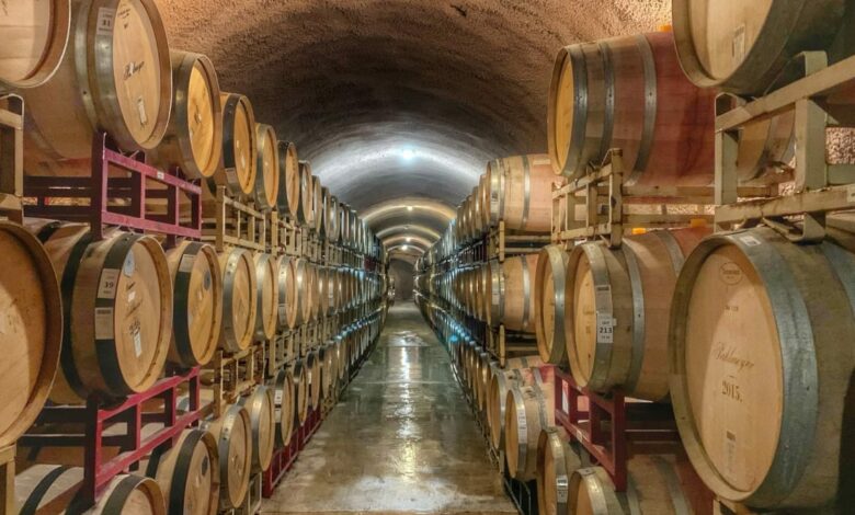 In Vino Veritas: 5 Bodegas cerca de Barcelona que no te puedes perder