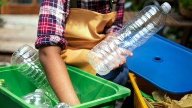 Ecolana y su enfoque innovador hacia el reciclaje