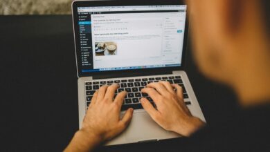 Cómo averiguar qué tema y plugins están activos en una web hecha con WordPress