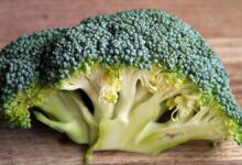 Beneficios que ofrece el brócoli para la salud