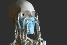 Proceso de muerte para la ciencia: Entendiendo el final de la vida