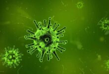 ¿Son los microbios los culpables de enfermedades como el Alzheimer?