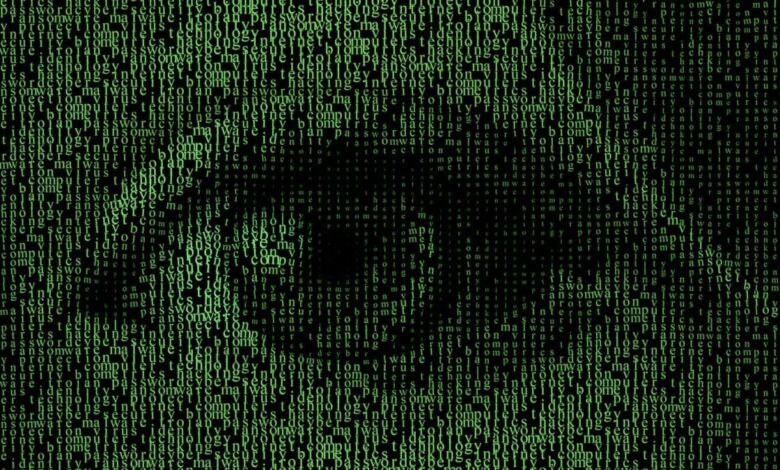 El ransomware, la mayor amenaza en Internet