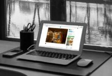 Crear un documento PDF desde cualquier sitio web