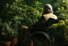 Encontrada una proteína para aliviar el Parkinson
