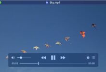 IINA, un gran reproductor de vídeo para macOS