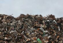 Se ha creado una IA para clasificar la basura