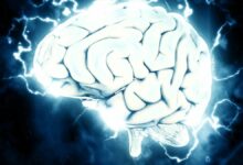 La inactividad física puede dañar el cerebro