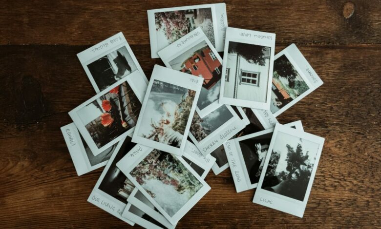 Administra tu colección de fotos con Piwigo