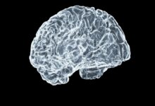 Aumentar la capacidad cerebral andando solo 5 minutos