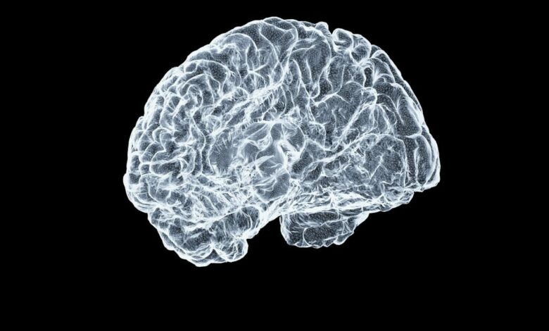 Aumentar la capacidad cerebral andando solo 5 minutos