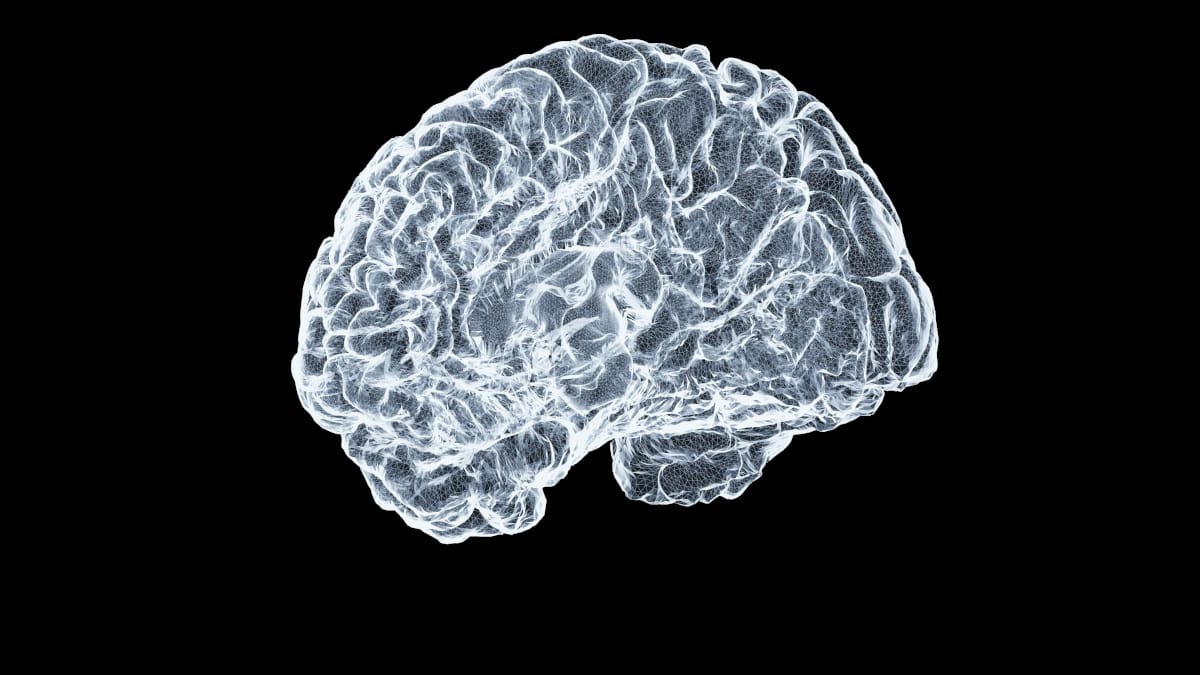 Aumentar la capacidad cerebral andando solo 5 minutos 1 Aumentar la capacidad cerebral andando solo 5 minutos