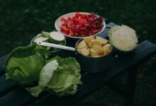 Falta de nutrientes necesarios en las dietas veganas