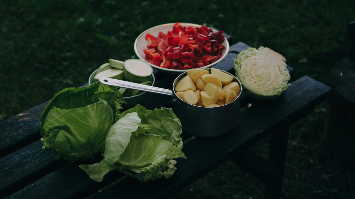 Falta de nutrientes necesarios en las dietas veganas 1 Falta de nutrientes necesarios en las dietas veganas