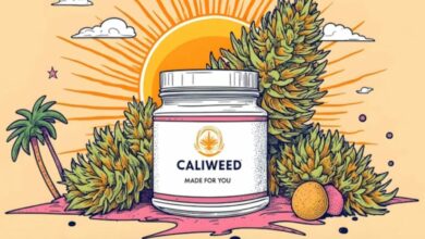 ¿Puede el CBD mejorar el rendimiento cognitivo de los desarrolladores ante el burnout digital?