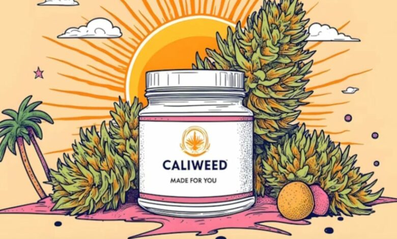 ¿Puede el CBD mejorar el rendimiento cognitivo de los desarrolladores ante el burnout digital?