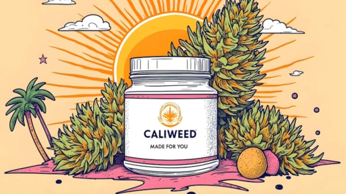¿Puede el CBD mejorar el rendimiento cognitivo de los desarrolladores ante el burnout digital? 1 ¿Puede el CBD mejorar el rendimiento cognitivo de los desarrolladores ante el burnout digital?