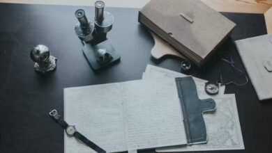 2 herramientas para identificar texto científico producido por ChatGPT
