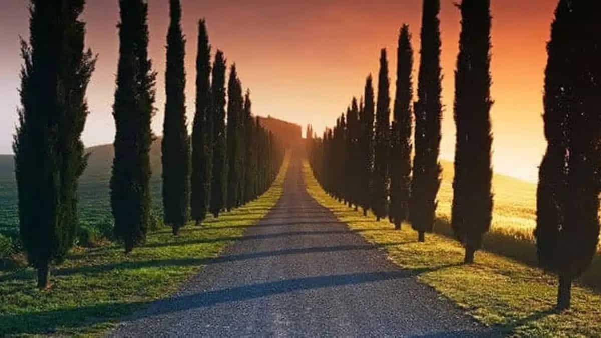 Camino sin retorno en nuestra vida