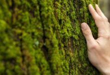 ¿Sueñas con descubrir el mundo?: Cuando cada experiencia es un viaje