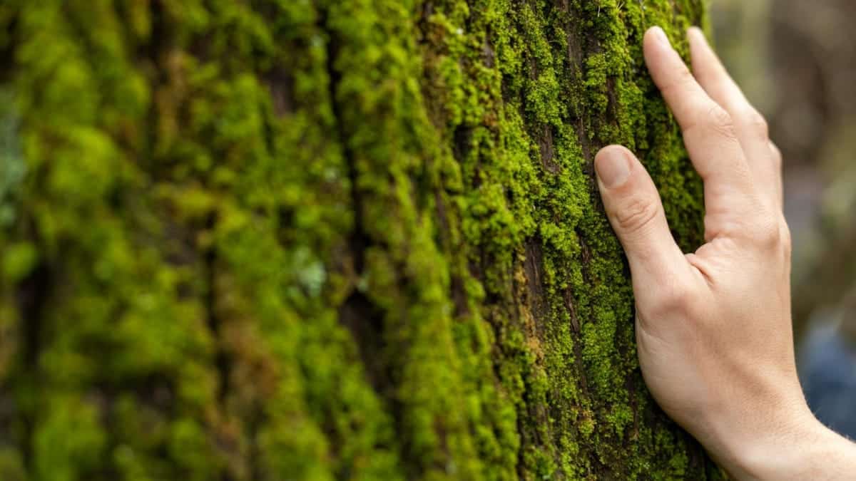 ¿Sueñas con descubrir el mundo?: Cuando cada experiencia es un viaje