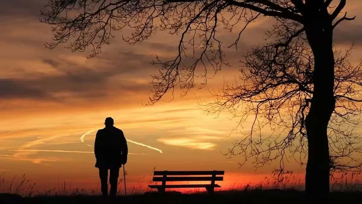 Cuáles son los orígenes del hombre