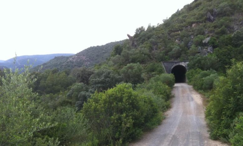 Utiliza Wikiloc en tu móvil para descubrir rutas al aire libre