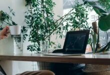 Cómo FileVault fortalece la seguridad de tu Mac
