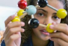 Cómo conseguir contenidos educativos