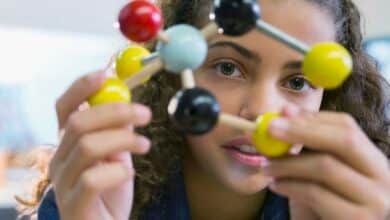 Cómo conseguir contenidos educativos