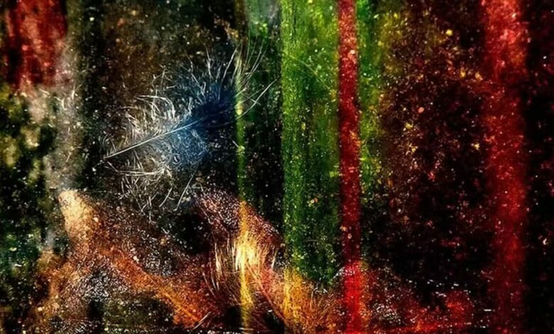 Explicaciones sin sentido de analfabetos informáticos