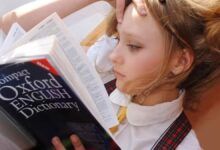 Bab.la, un diccionario, traductor, creador de frases y más en varios idiomas