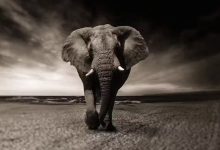 Comprimir imágenes online en formato PNG y en otros formatos