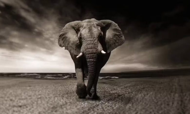 Comprimir imágenes online en formato PNG y en otros formatos