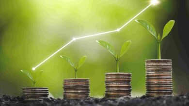 Redefiniendo las finanzas verdes: Una visión para un futuro mejor