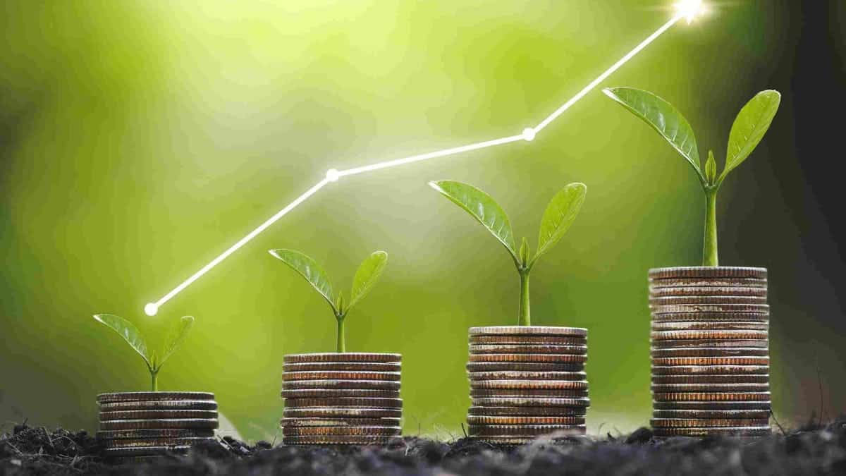 Redefiniendo las finanzas verdes: Una visión para un futuro mejor