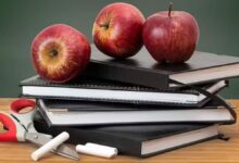 Respuestas de alumnos en las que prima la originalidad