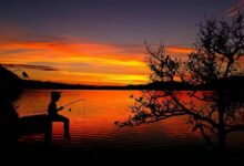 Algunas definiciones y notables reflexiones