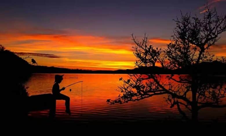 Algunas definiciones y notables reflexiones