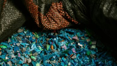 Como los microplásticos pueden dañar el cerebro