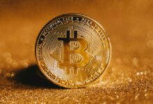 Cómo los proveedores de señales criptográficas están redefiniendo el trading de precisión en mercados volátiles