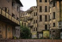 Psicólogo o psiquiatra, ¿a quién recurrir?