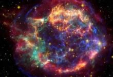 Sobre las estrellas de neutrones y los agujeros negros