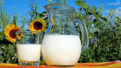 Tomar un vaso de leche al día es bueno para el cerebro