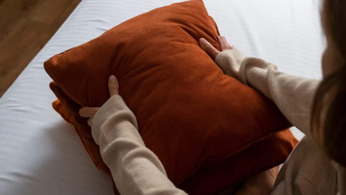 Cojines lumbares y ergonomía en la vida diaria