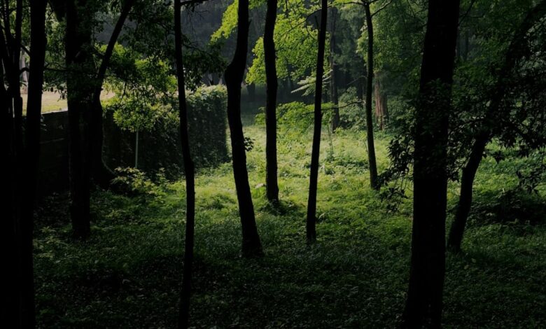 Convertir CO2 en una importante fuente de combustible